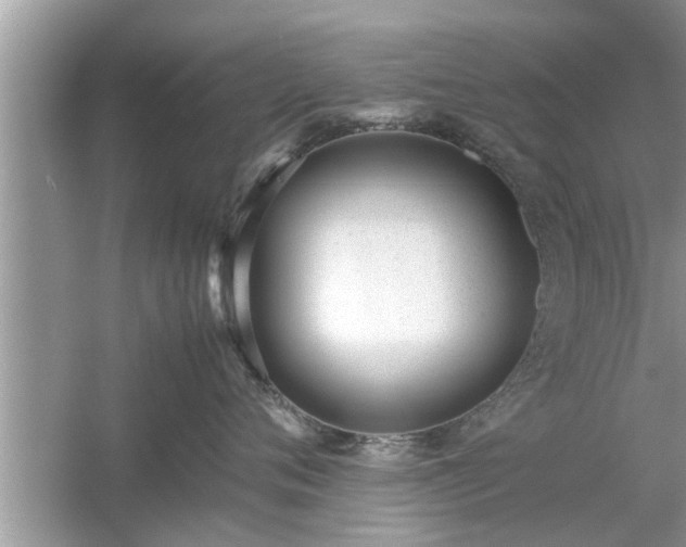 X0000054430720200508051832