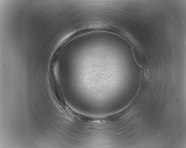 X0000054430724200508051832