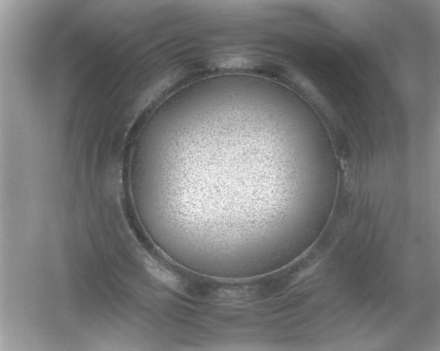 X0000054430725200508051832