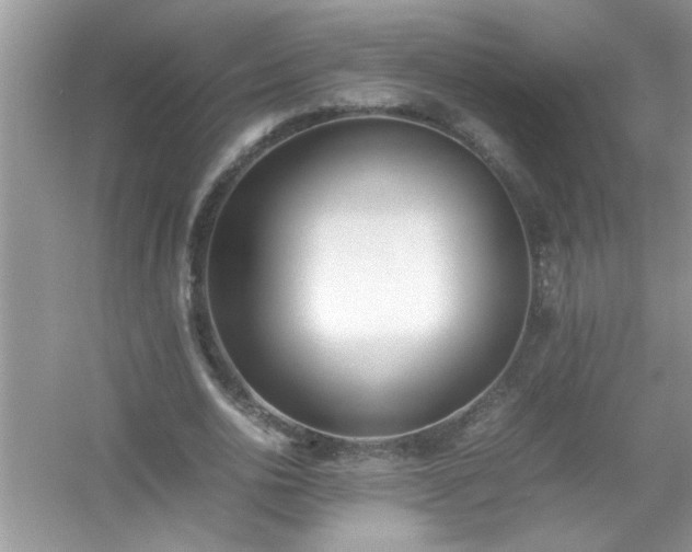 X0000054430726200508051832