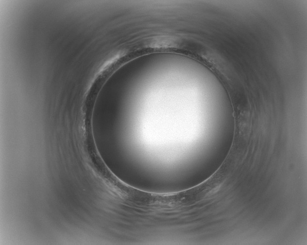 X0000054430727200508051832