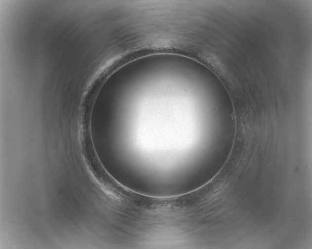 X0000054430728200508051832