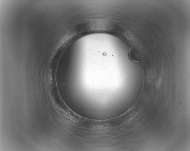 X0000054430731200508051832