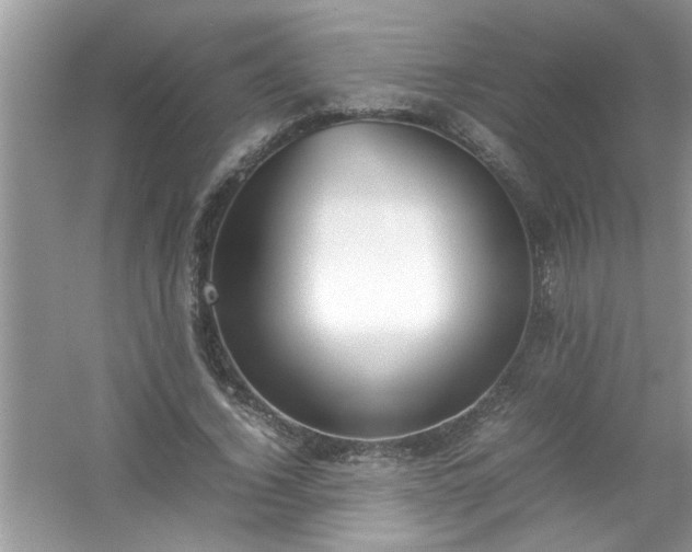 X0000054430732200508051832