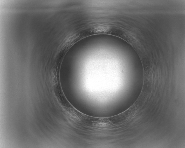 X0000054430743200508051832