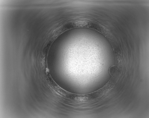 X0000054430745200508051832