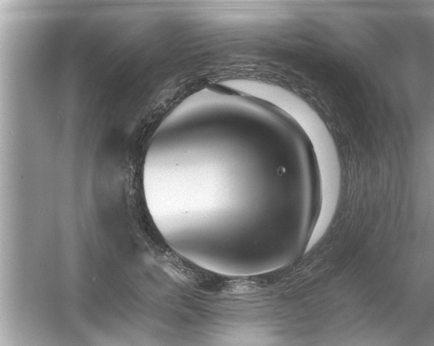 X0000054430750200508051832