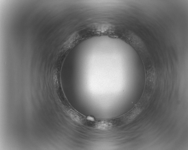 X0000054430754200508051832