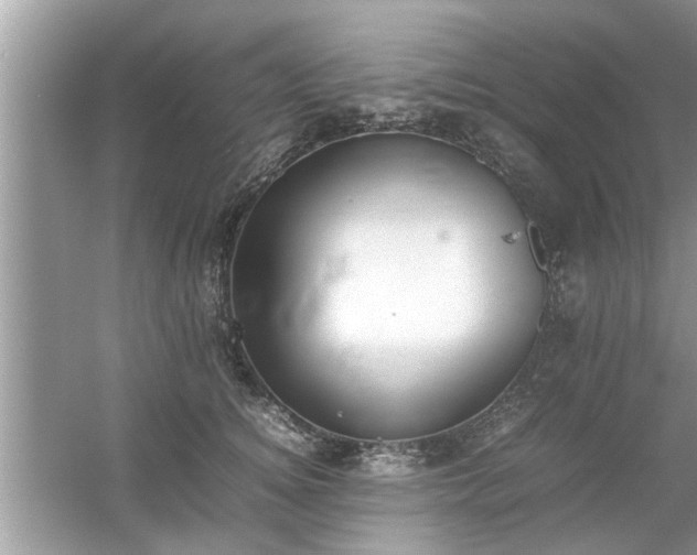 X0000054430756200508051832