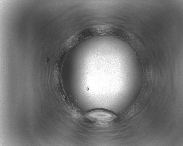 X0000054430757200508051832