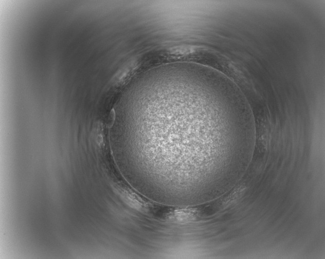 X0000054430758200508051832