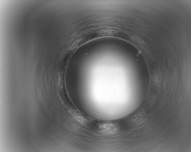 X0000054430759200508051832