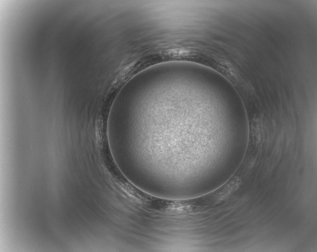 X0000054430760200508051832