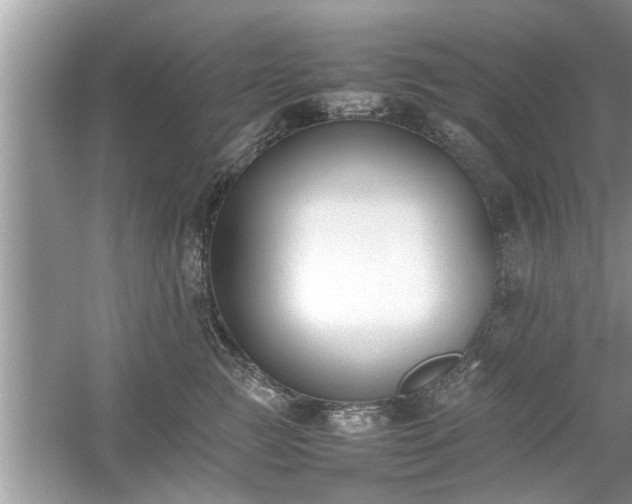 X0000054430761200508051832