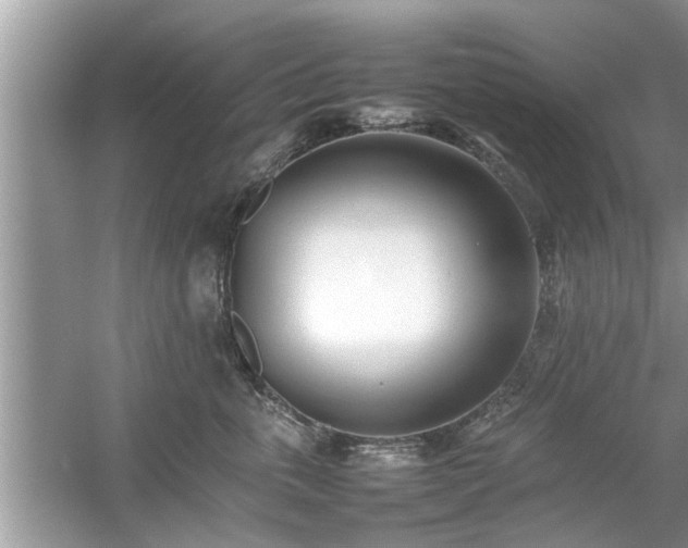 X0000054430763200508051832