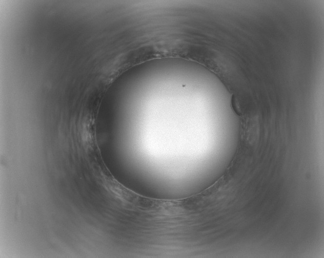 X0000054430770200508051832