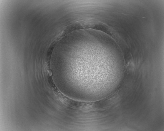 X0000054430772200508051832