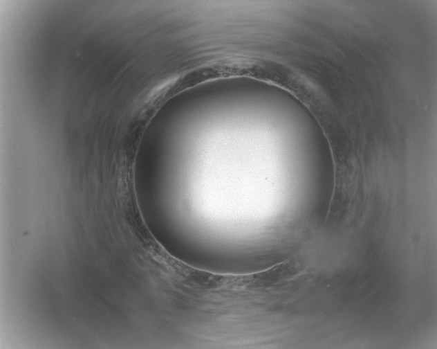 X0000054430773200508051832