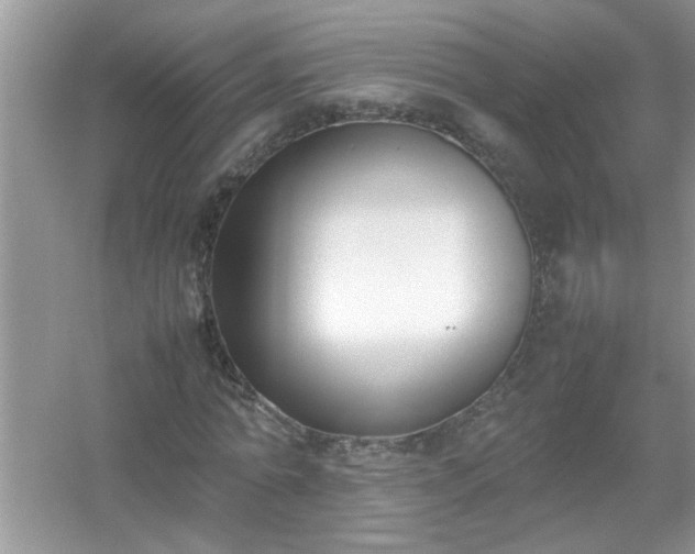 X0000054430774200508051832