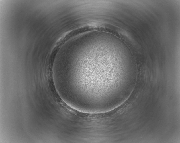 X0000054430776200508051832