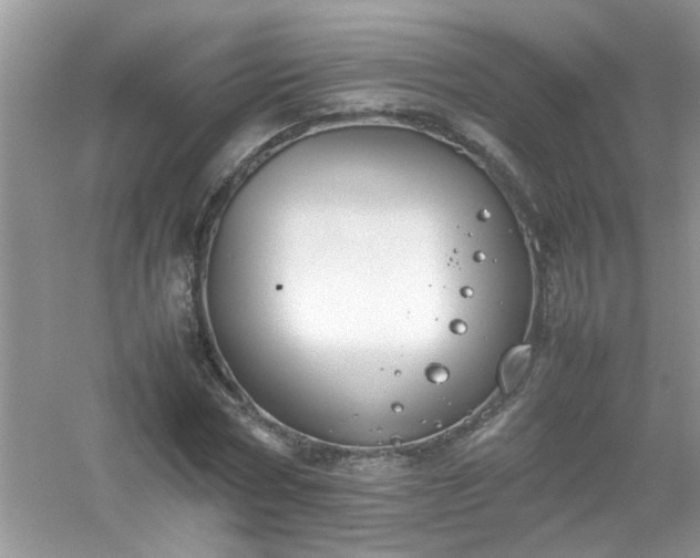 X0000054430778200508051831