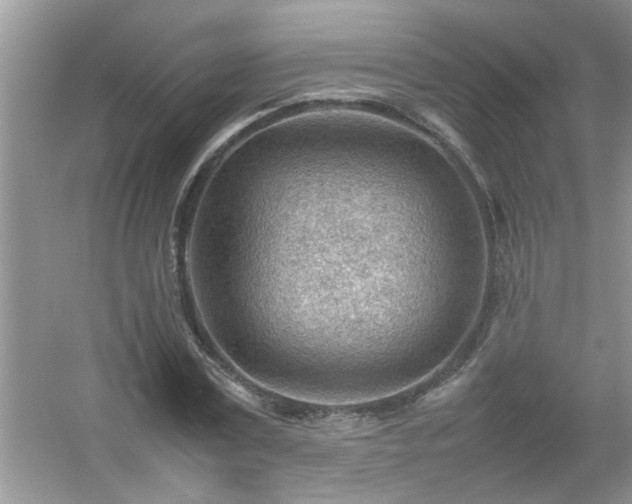 X0000054430779200508051831