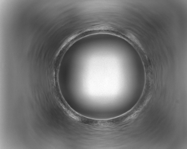 X0000054430781200508051831