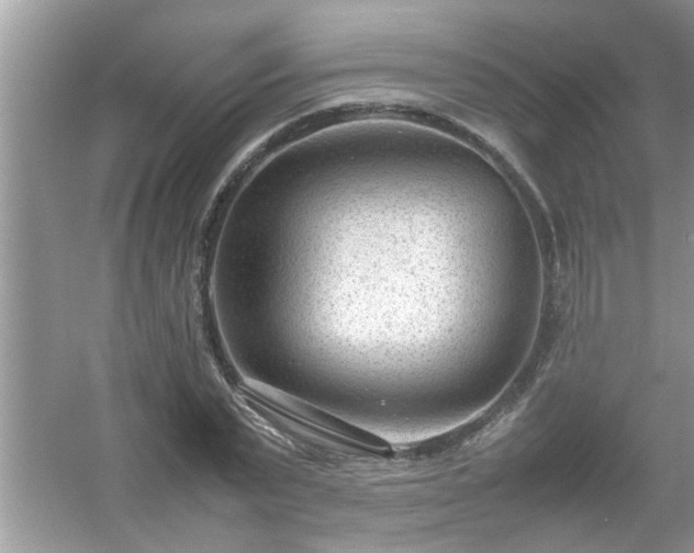 X0000054430783200508051831