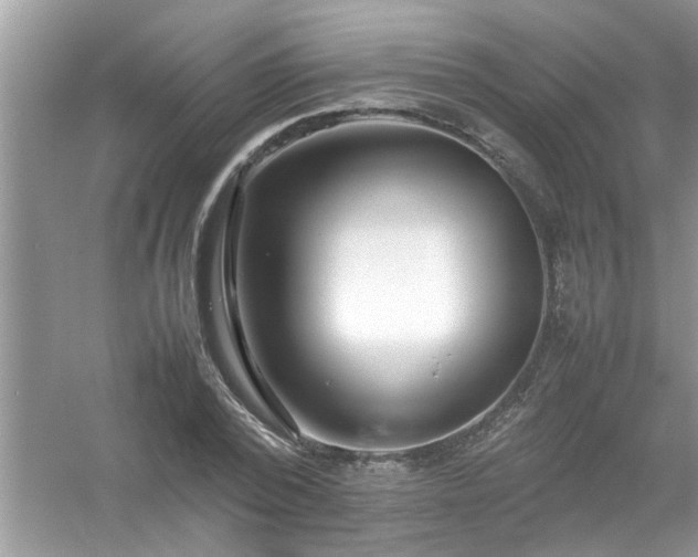 X0000054430784200508051831