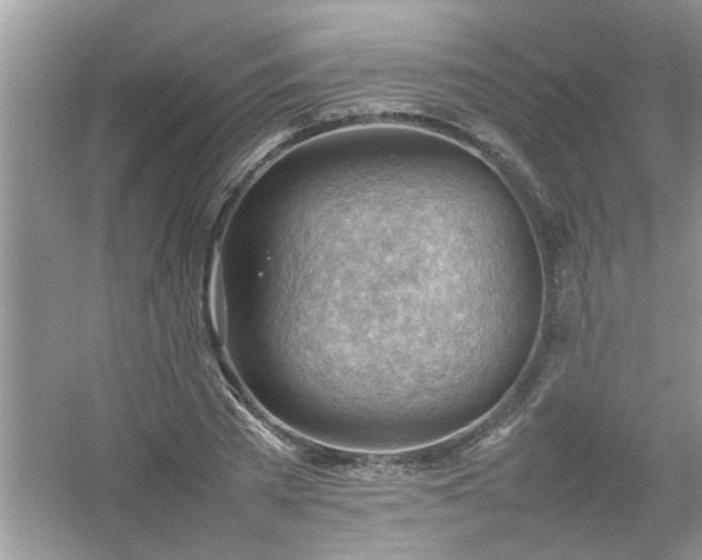 X0000054430785200508051831