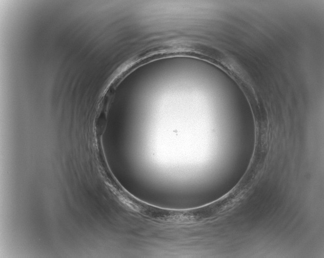 X0000054430789200508051831