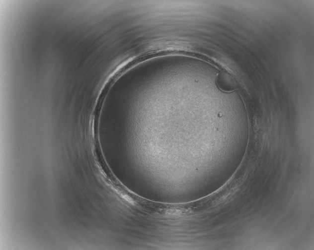 X0000054430790200508051831