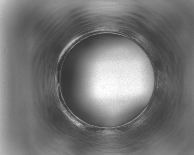 X0000054430796200508051831