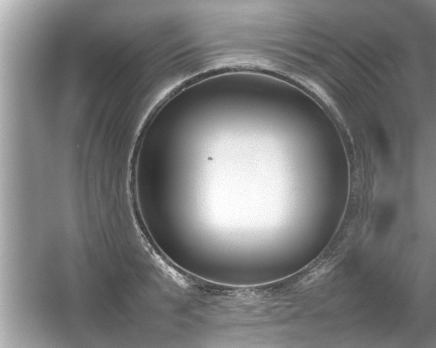 X0000054430799200508051831