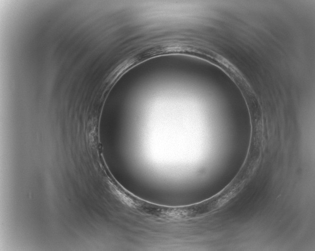 X0000054430801200508051831