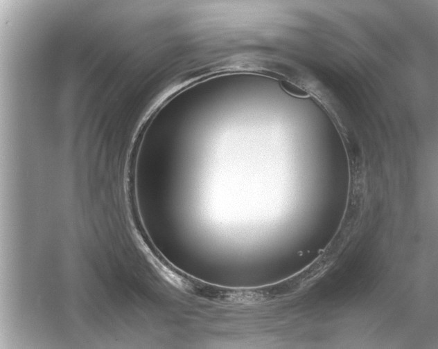 X0000054430803200508051831