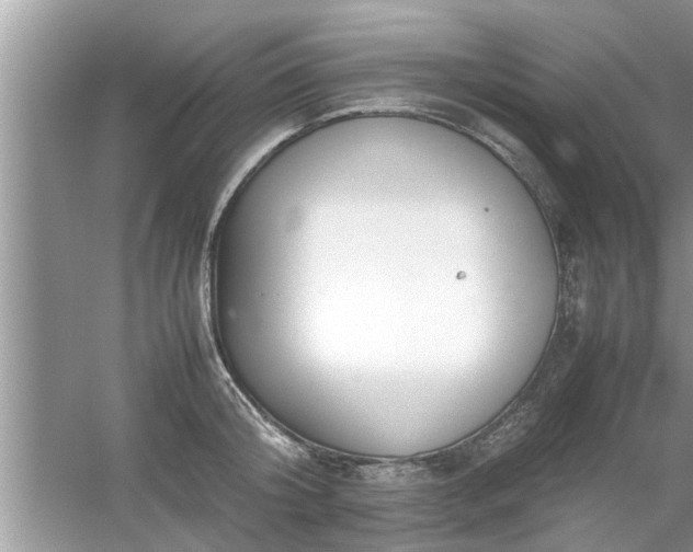 X0000054430804200508051831