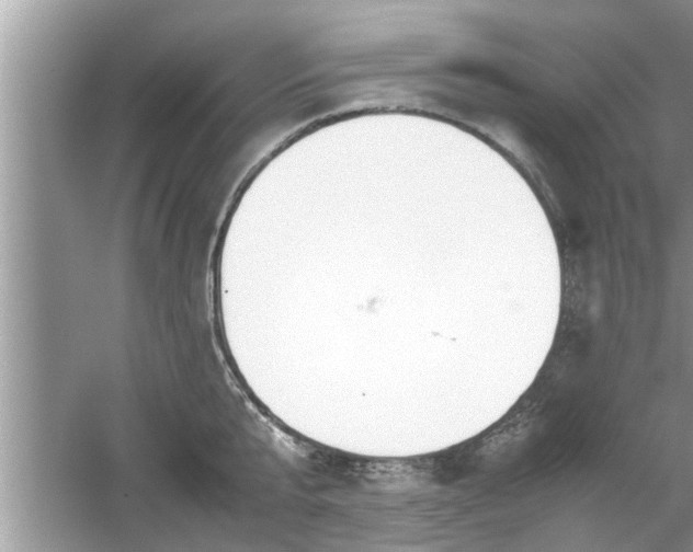 X0000054430807200508051831