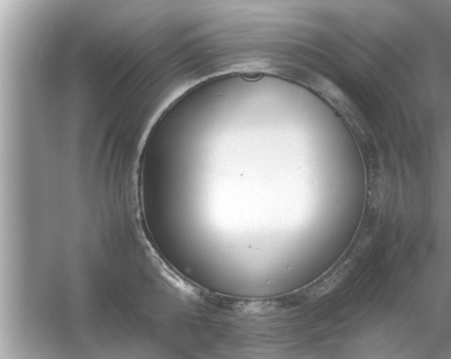 X0000054430808200508051831