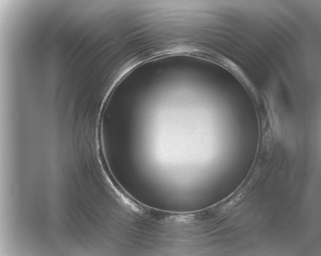 X0000054430810200508051831