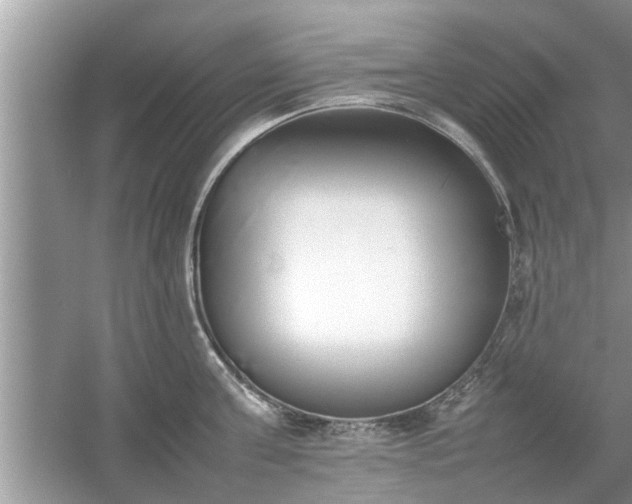 X0000054430811200508051831