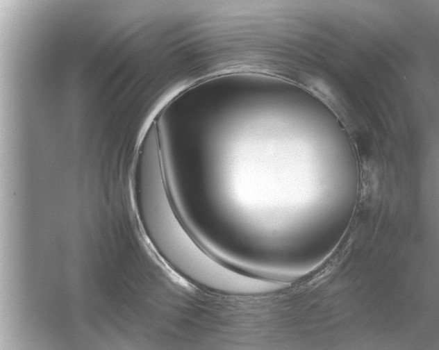 X0000054430812200508051831