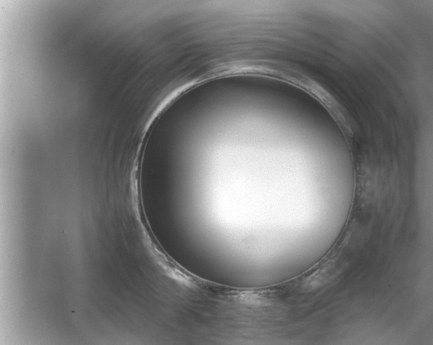 X0000054430814200508051831