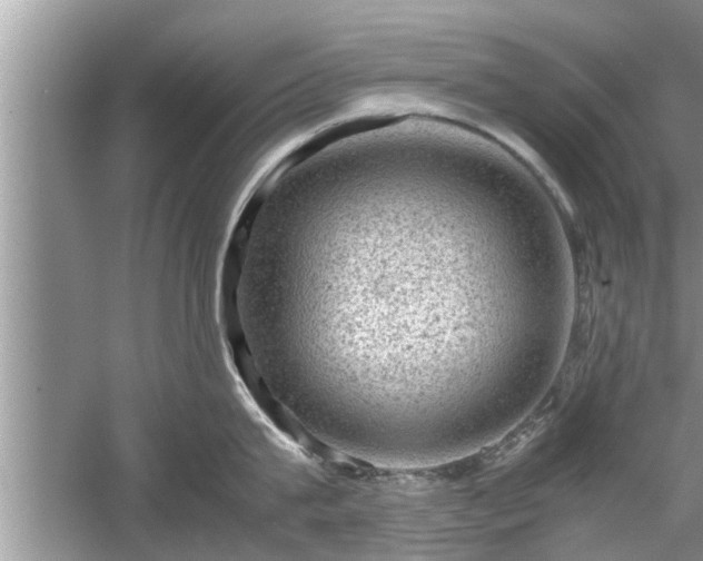 X0000054430815200508051831