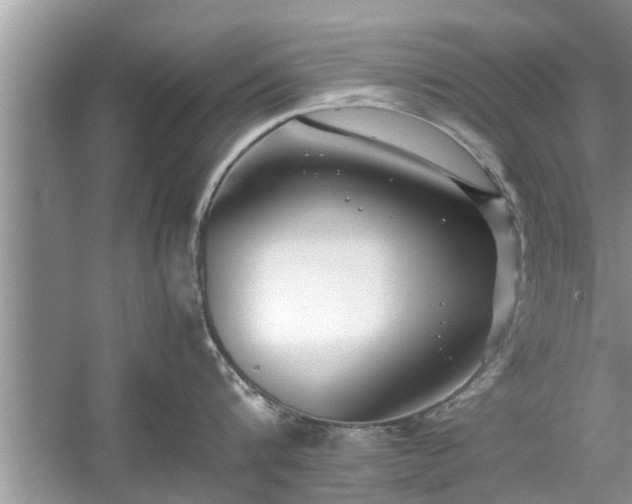 X0000054430816200508051831