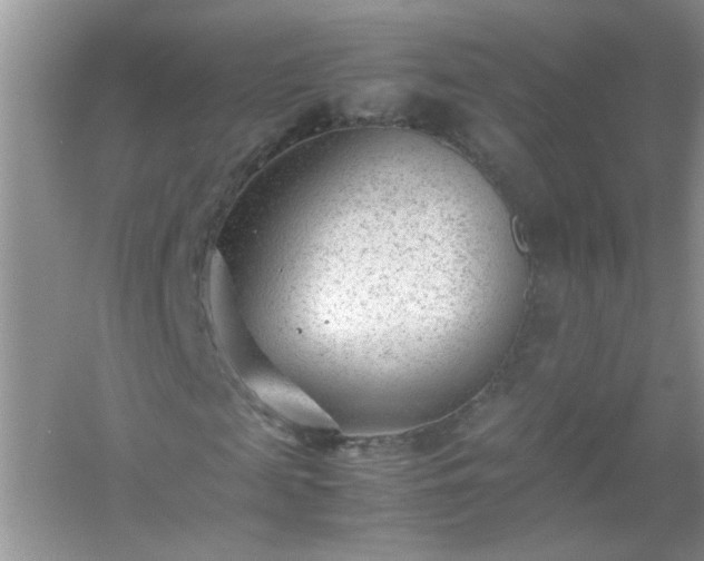 X0000054430817200508051830