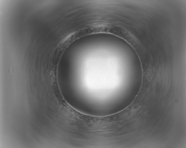 X0000054430821200508051830