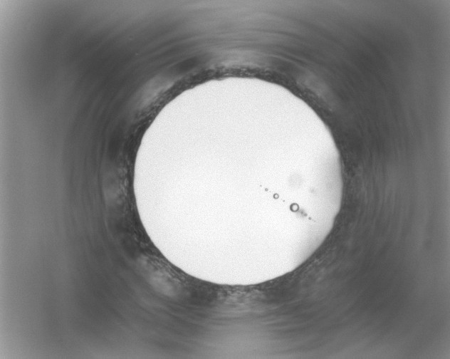 X0000054430824200508051830