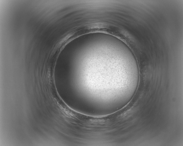 X0000054430825200508051830