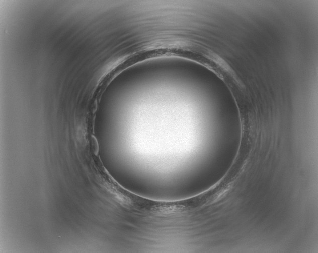 X0000054430826200508051830